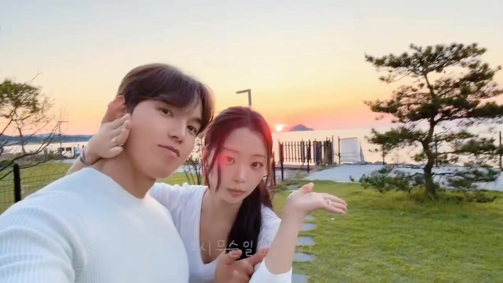 @sunny⋆˚🐾˖