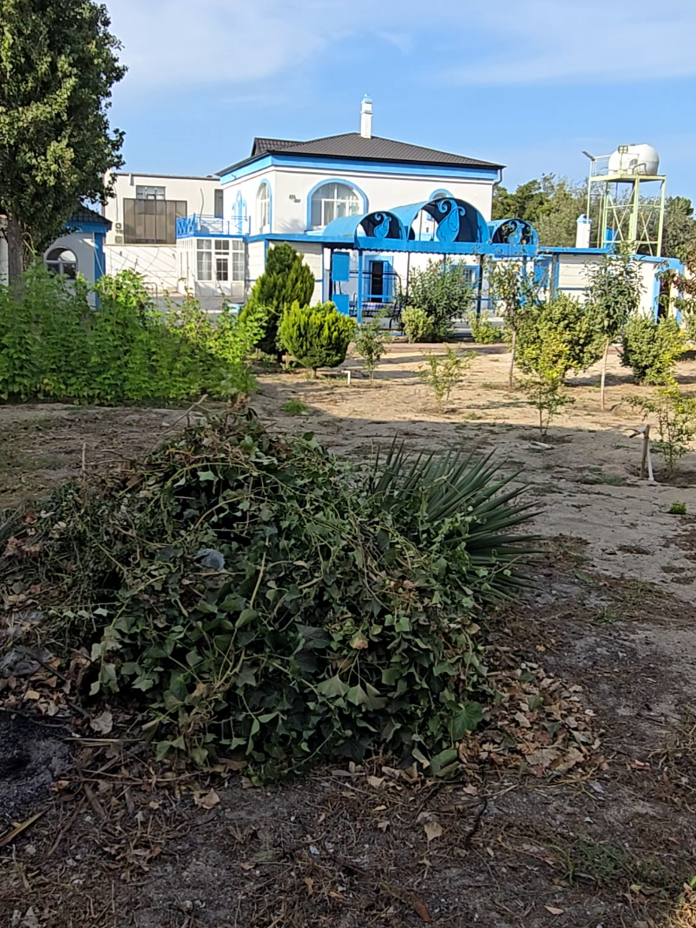 @NOVXANI BAĞLARI