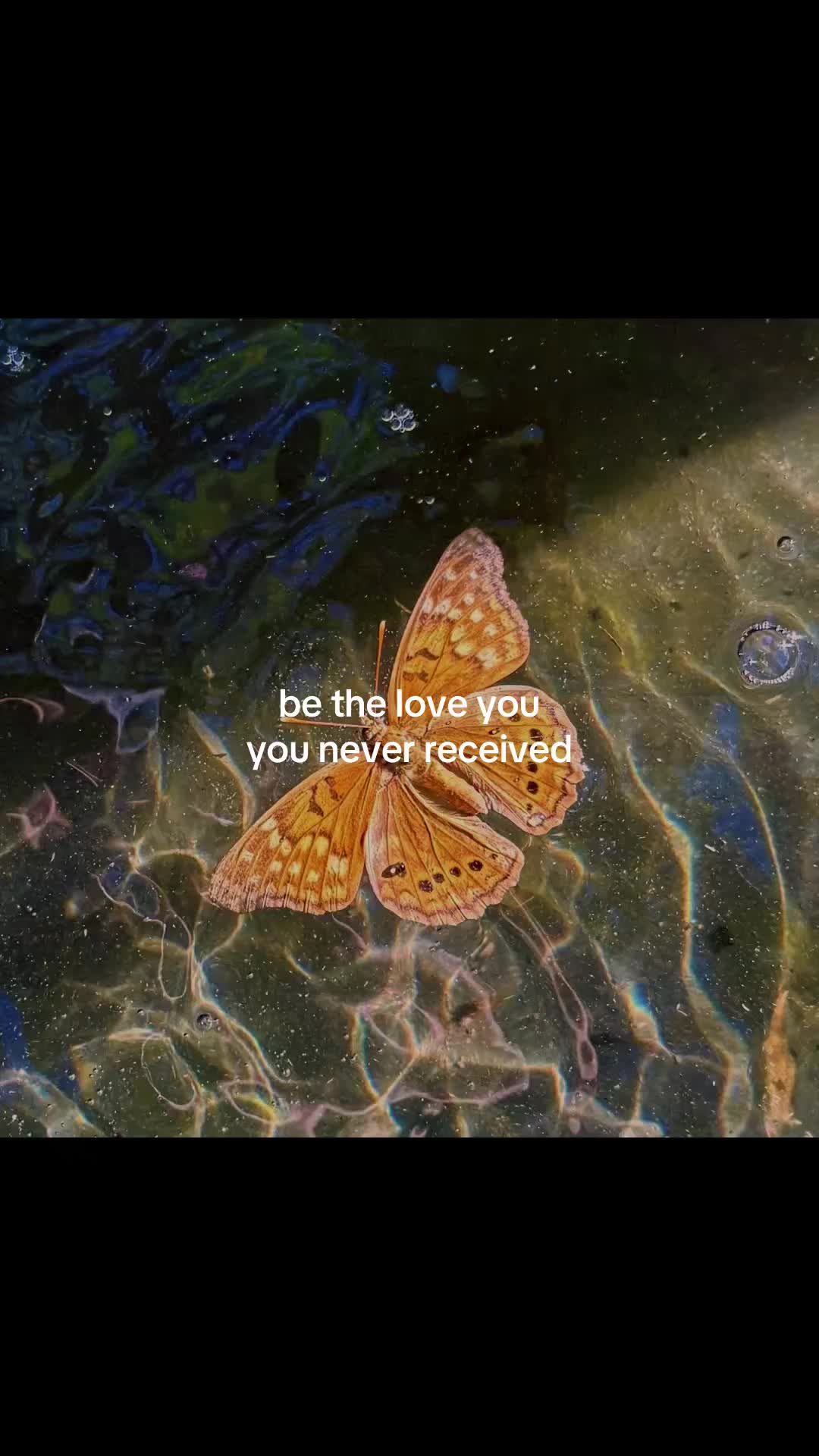 @kaitlyn🧚&zwj;♀️✨