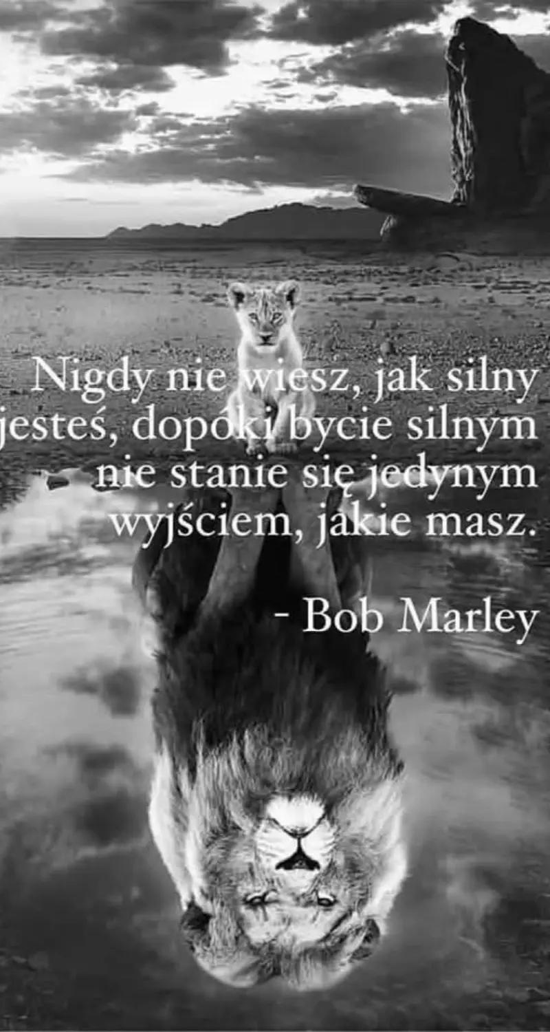 @Grażka💙Grazia 💙💙💙🇵🇱🇩🇪