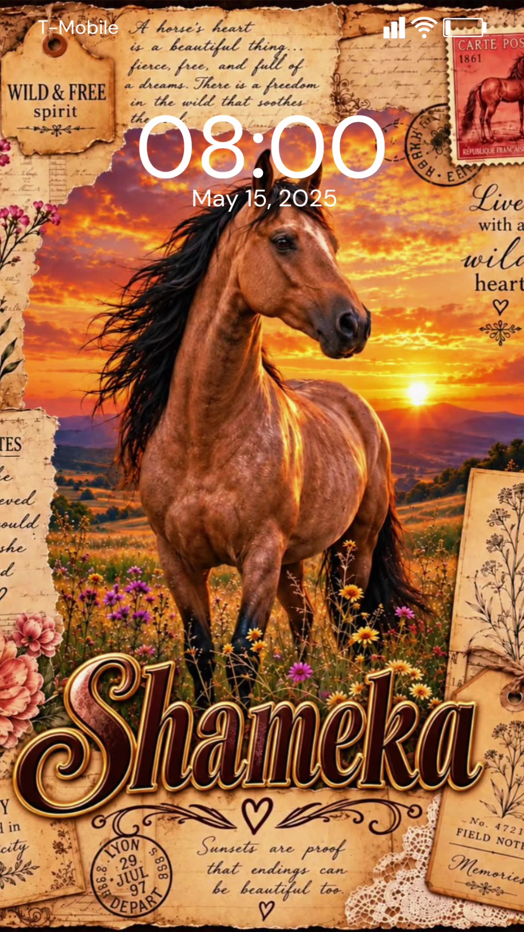 @Shamekaboyd