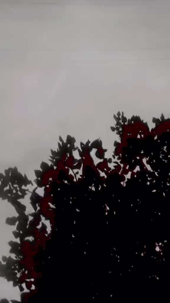@꧁𓊈𒆜💓🆂🅰_🅰🆁🫀𒆜𓊉꧂