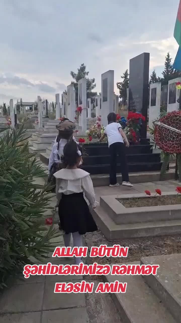 @TEYMUR AĞDAMLI SAYBALI