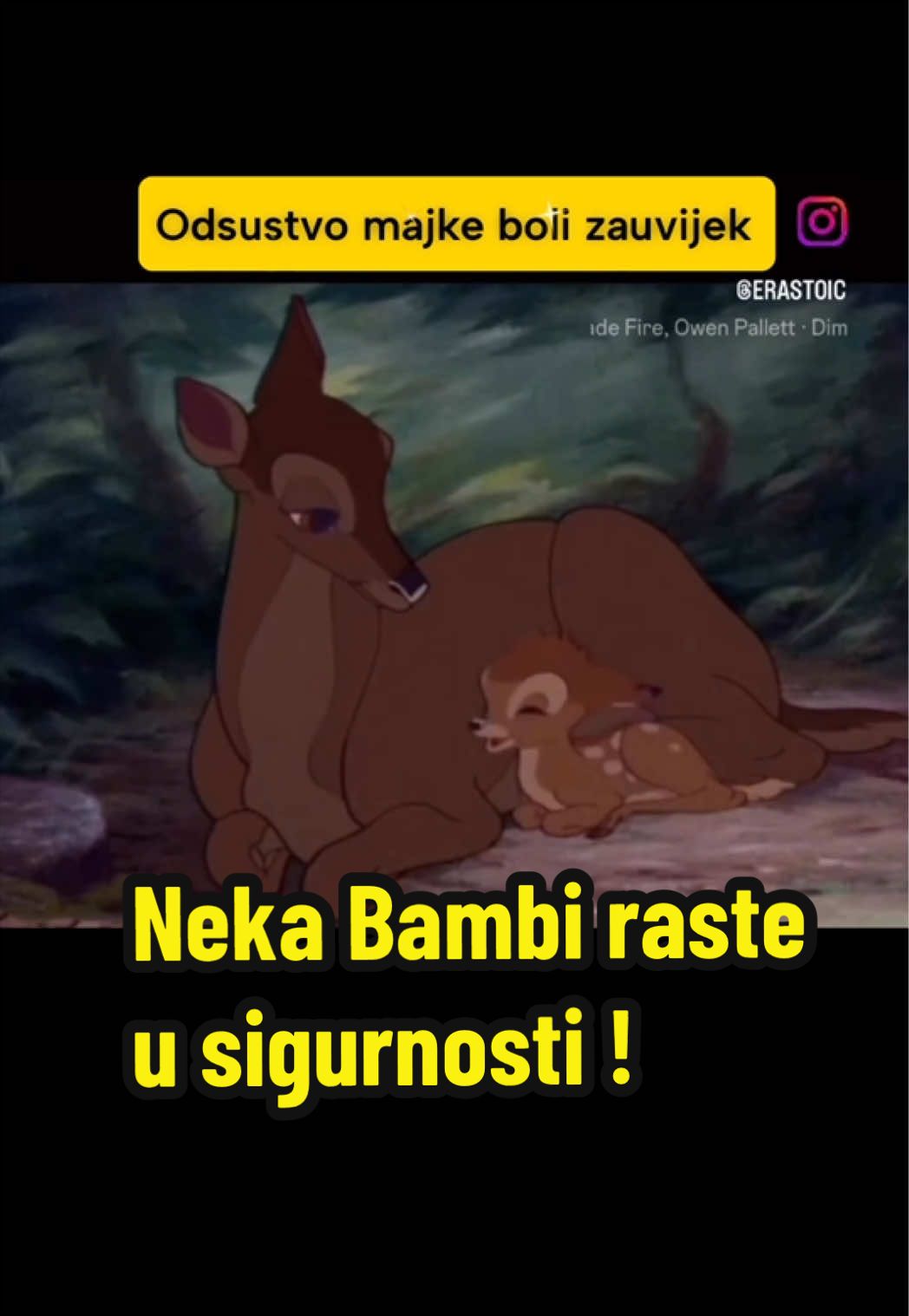 @Maja Kovijanic