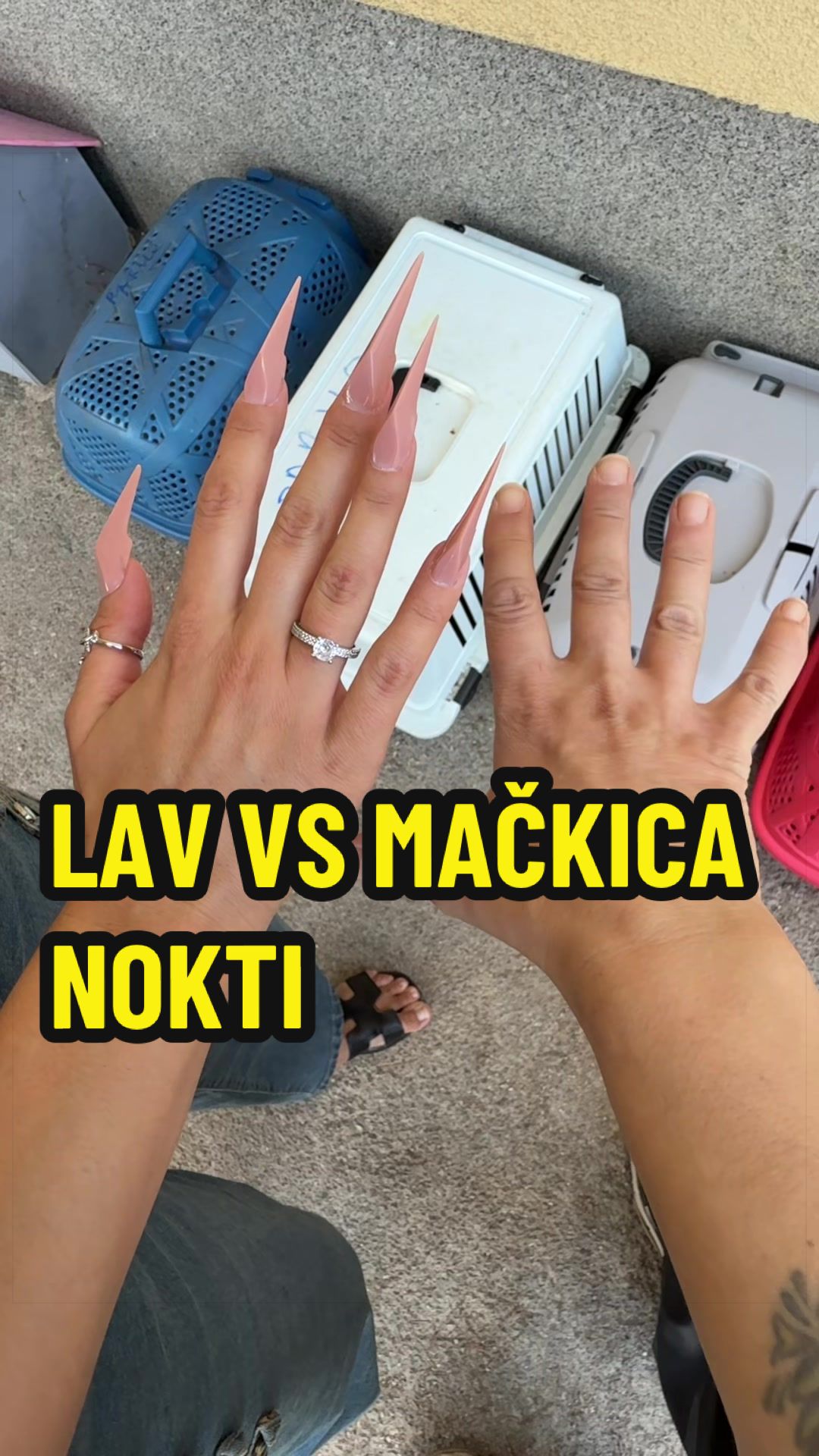 @Maja Kovijanic