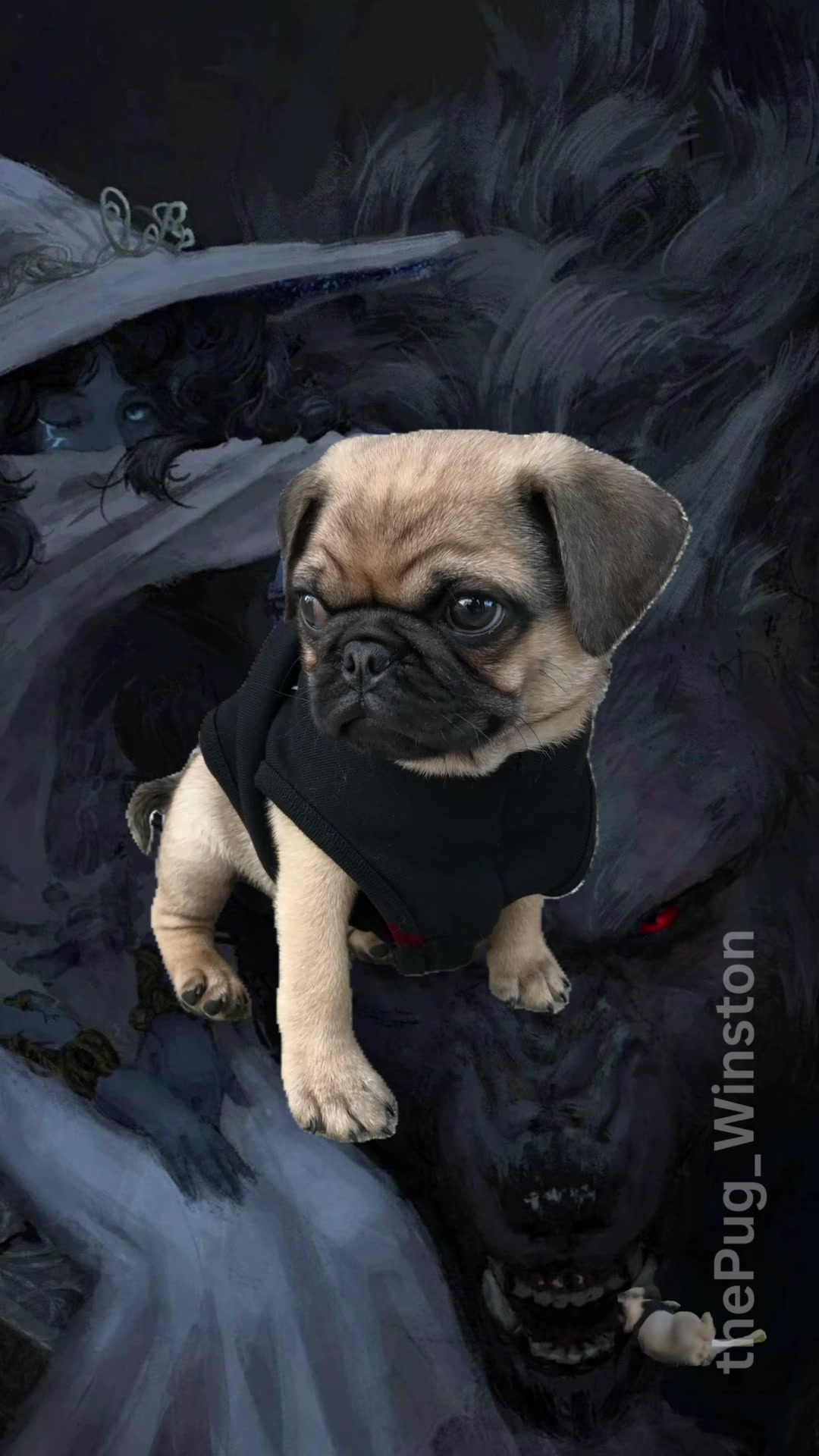@Winston the Pug