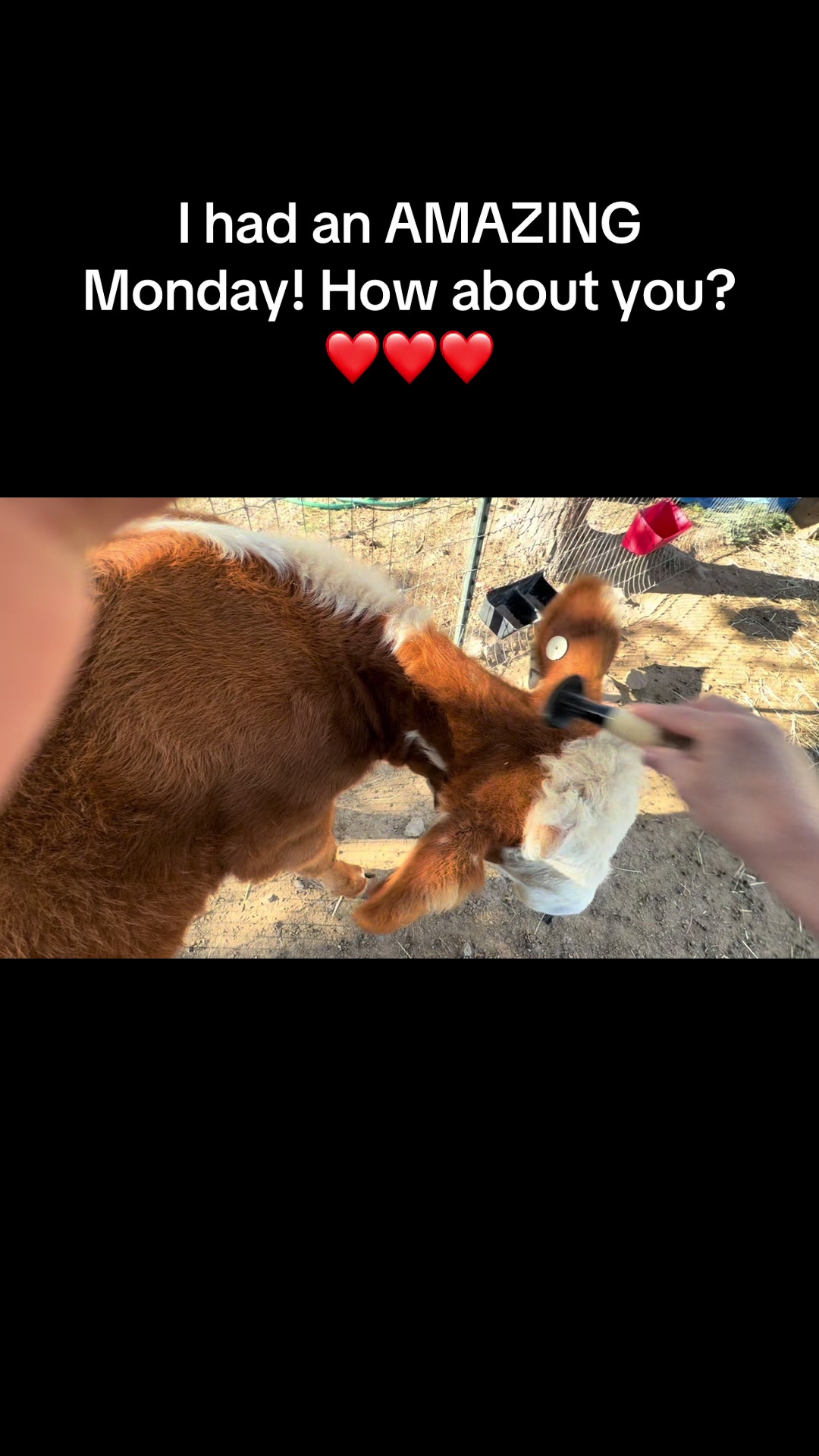 @WollamFarm