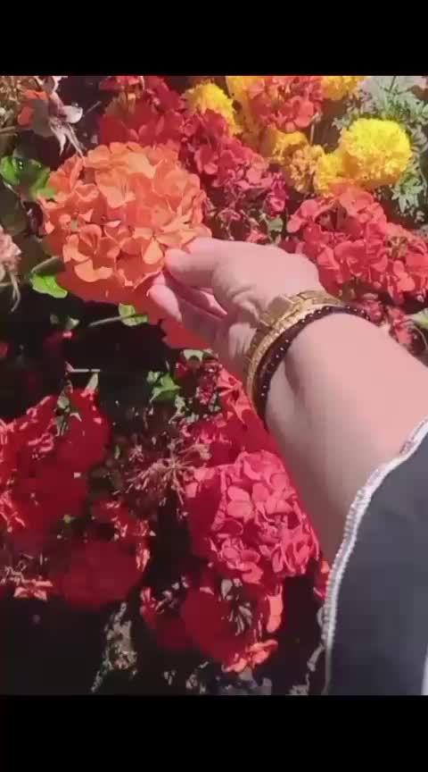 @⫷ 🄻🅄🄲🄺🅈 🄶🄸🅁🄻 ⫸