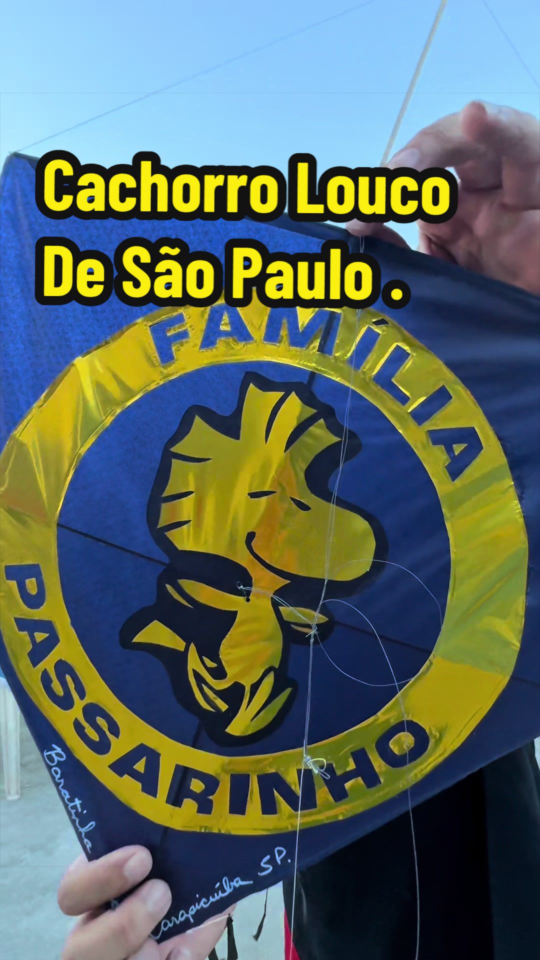 @Familia Passarinho
