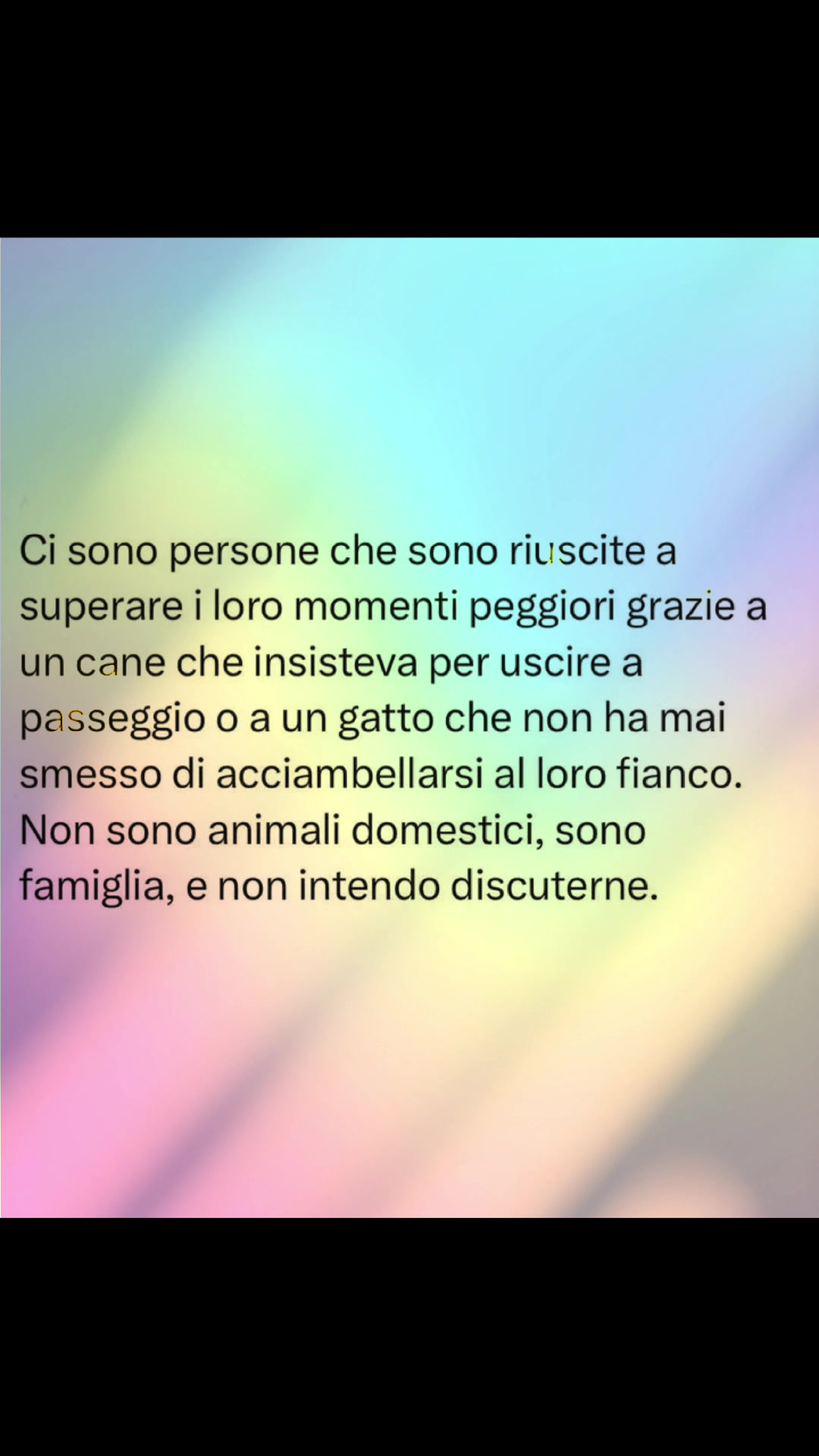 @Veronica (Angel🐨🍀)