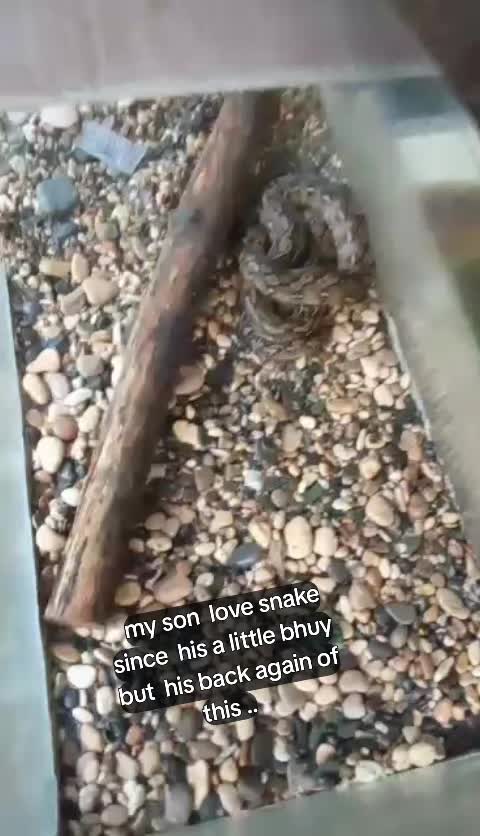 @ariyanababe