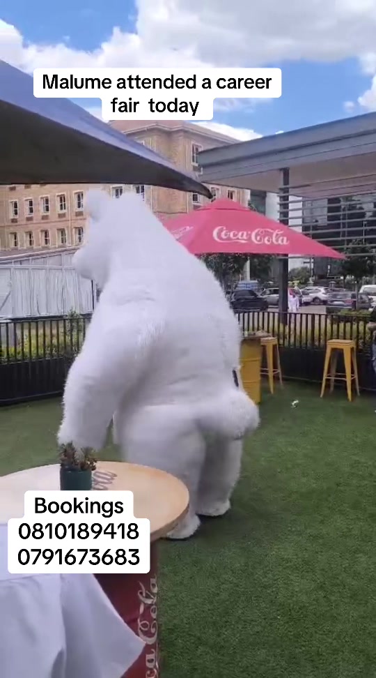 @Mascots in joburg