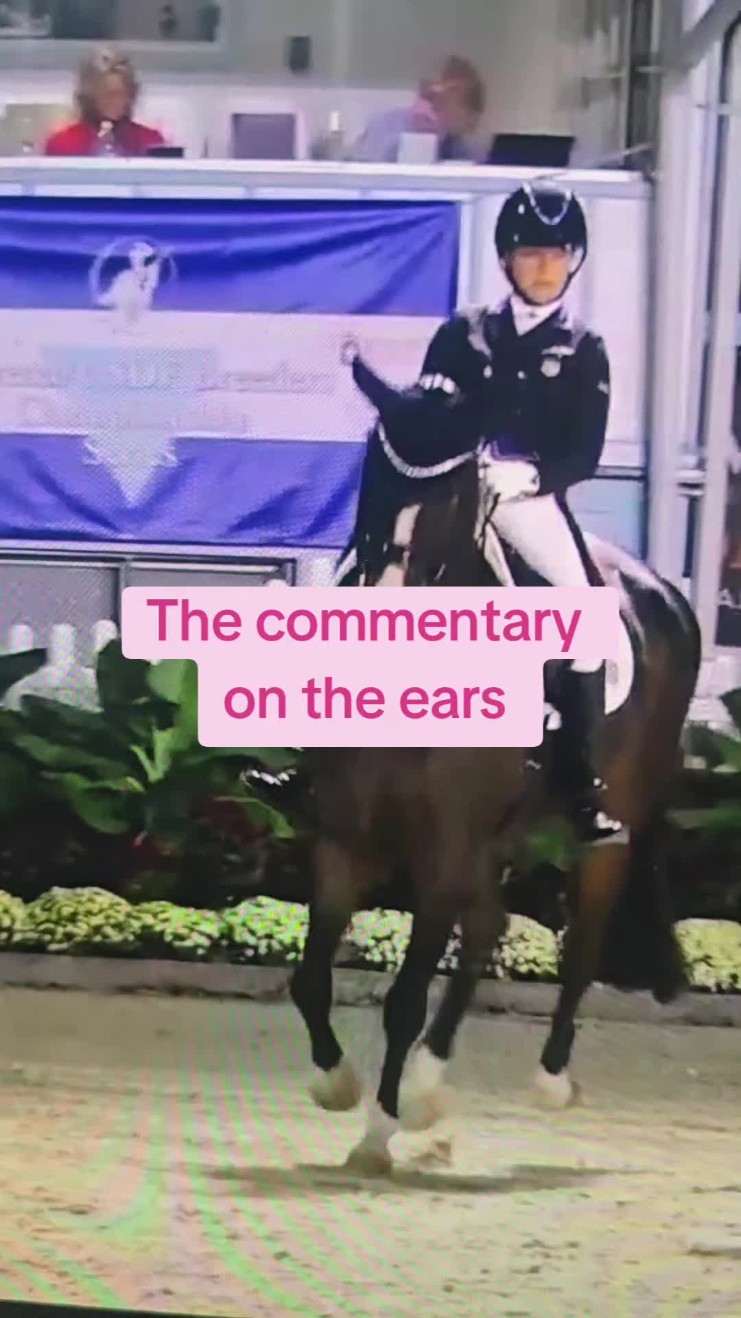 @DressageHub