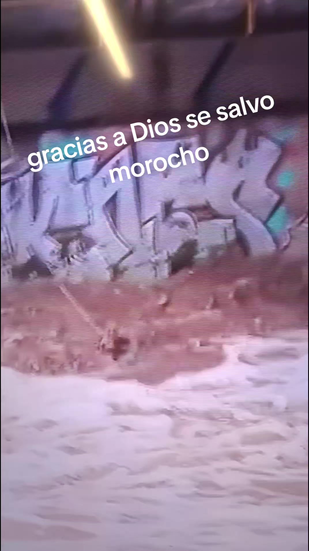 @yoca roman