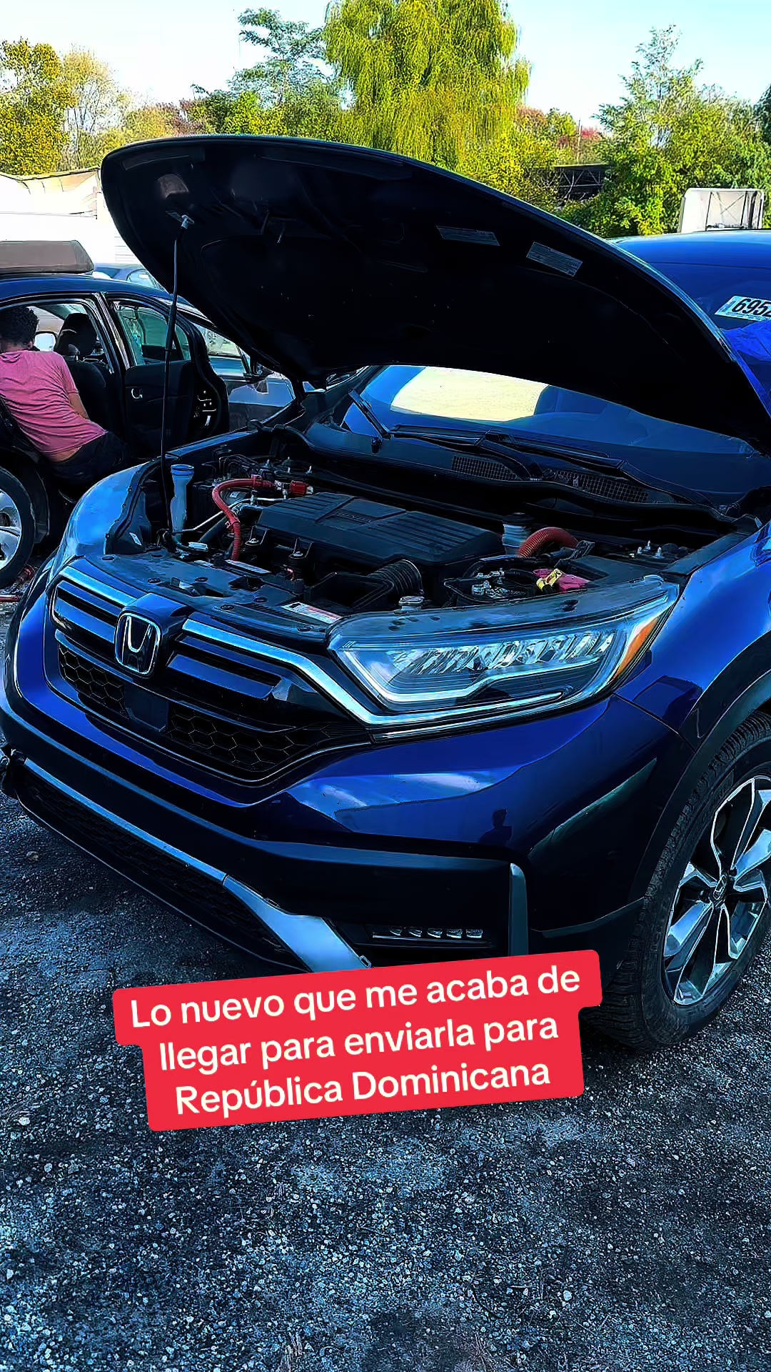 @estarli18