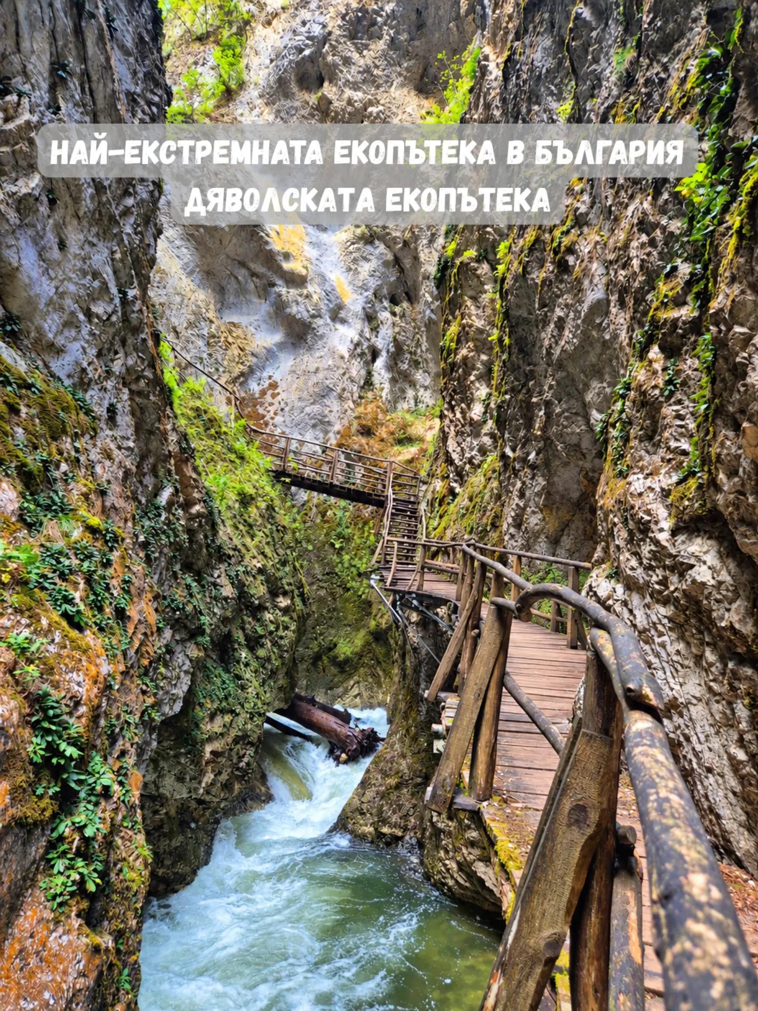 @Zornitsa Ivanova