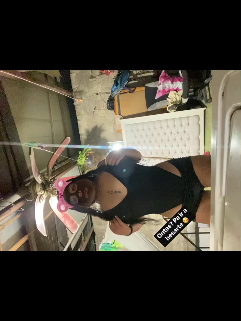 @Palomino🦦