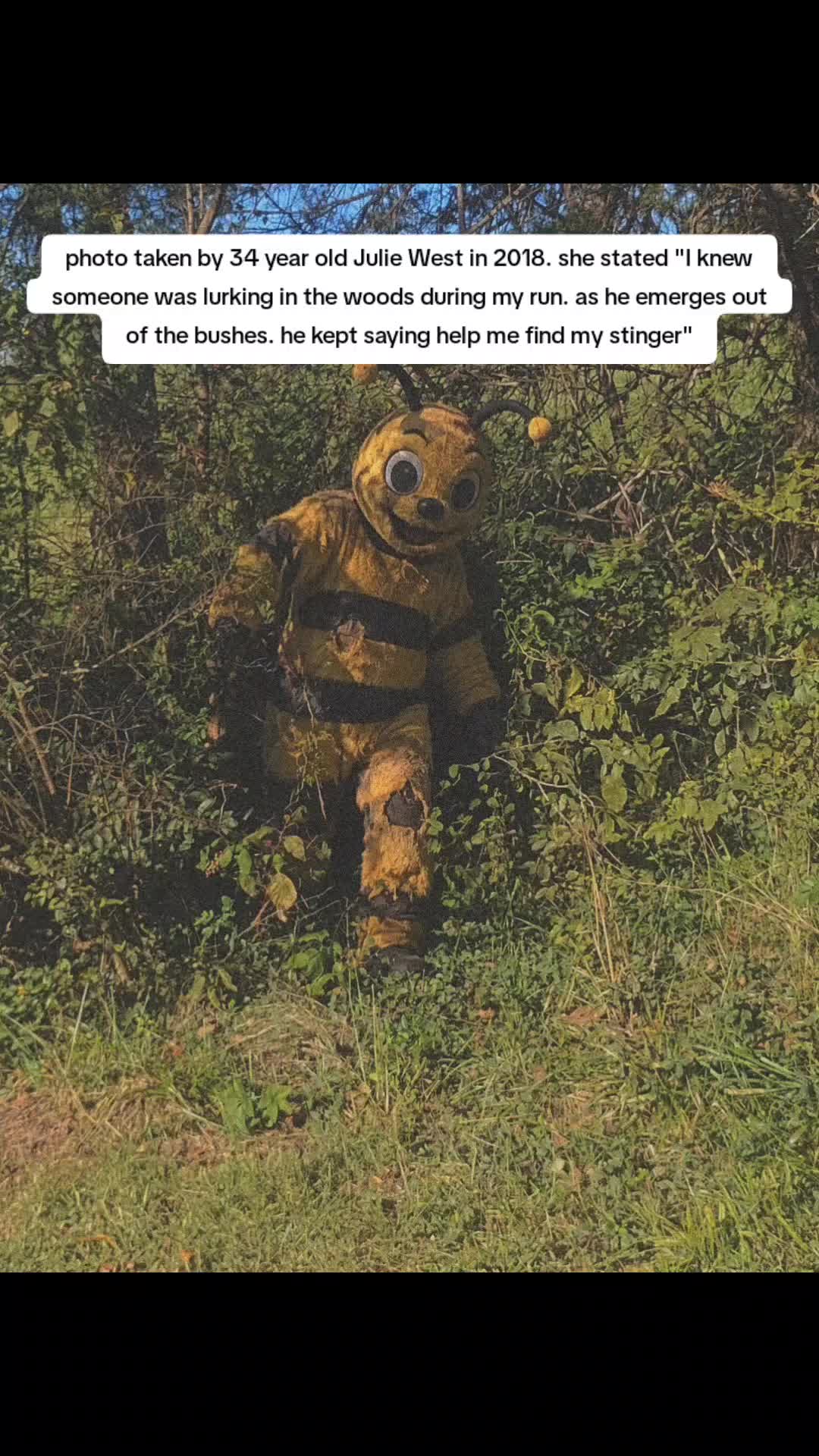 @lost patient