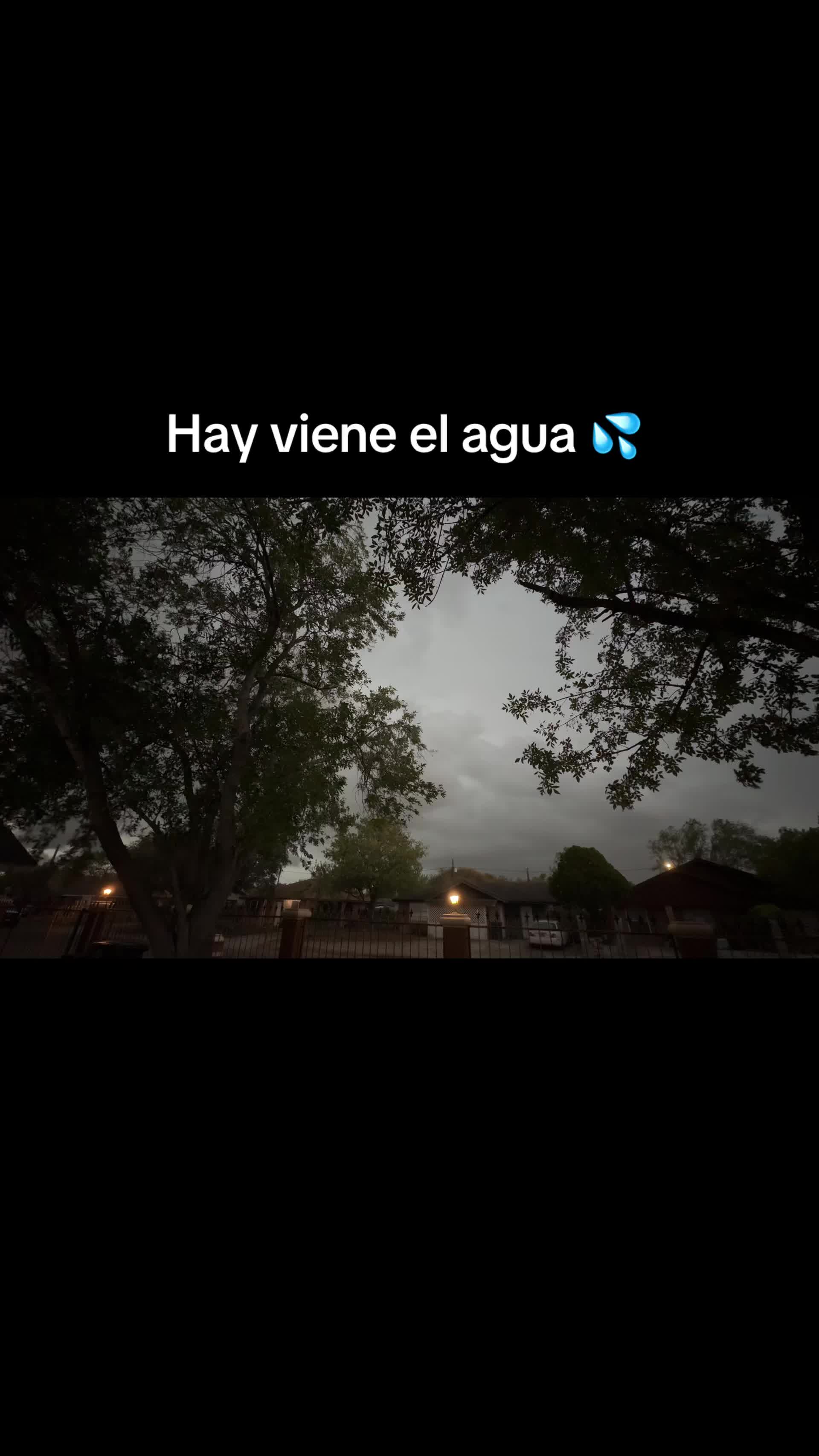@Alice_salazar20