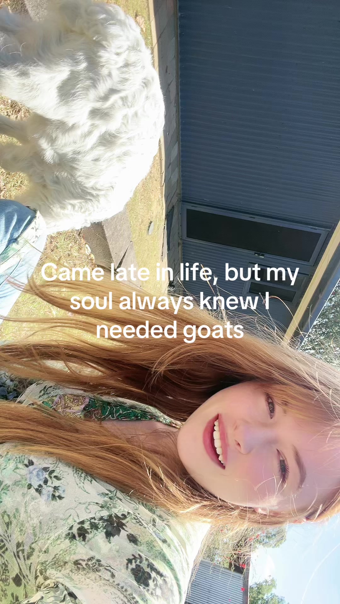 @Evelynx