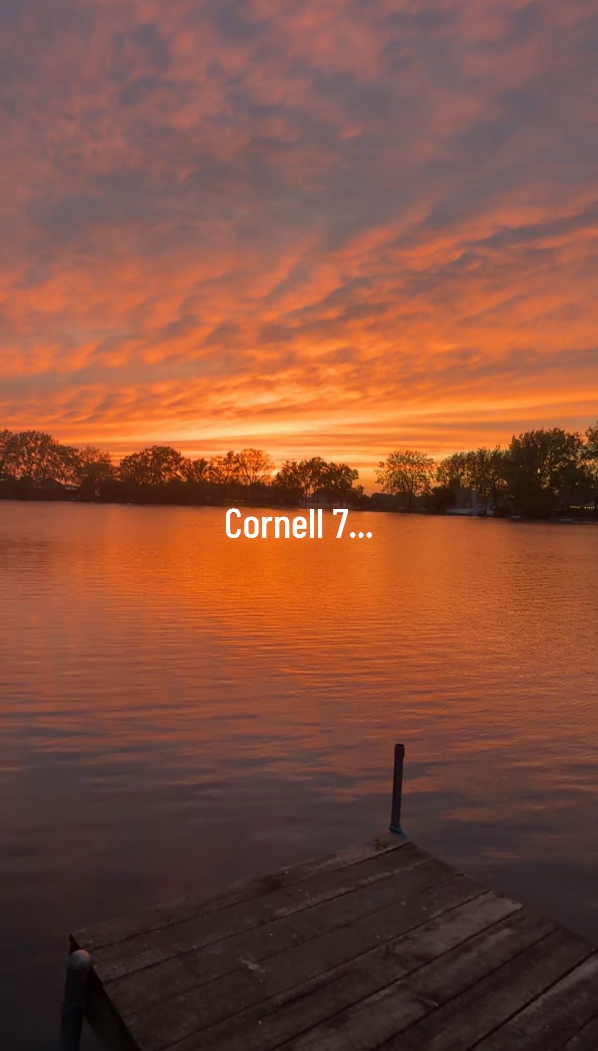 @🌶𝓤𝓛𝓔𝓢