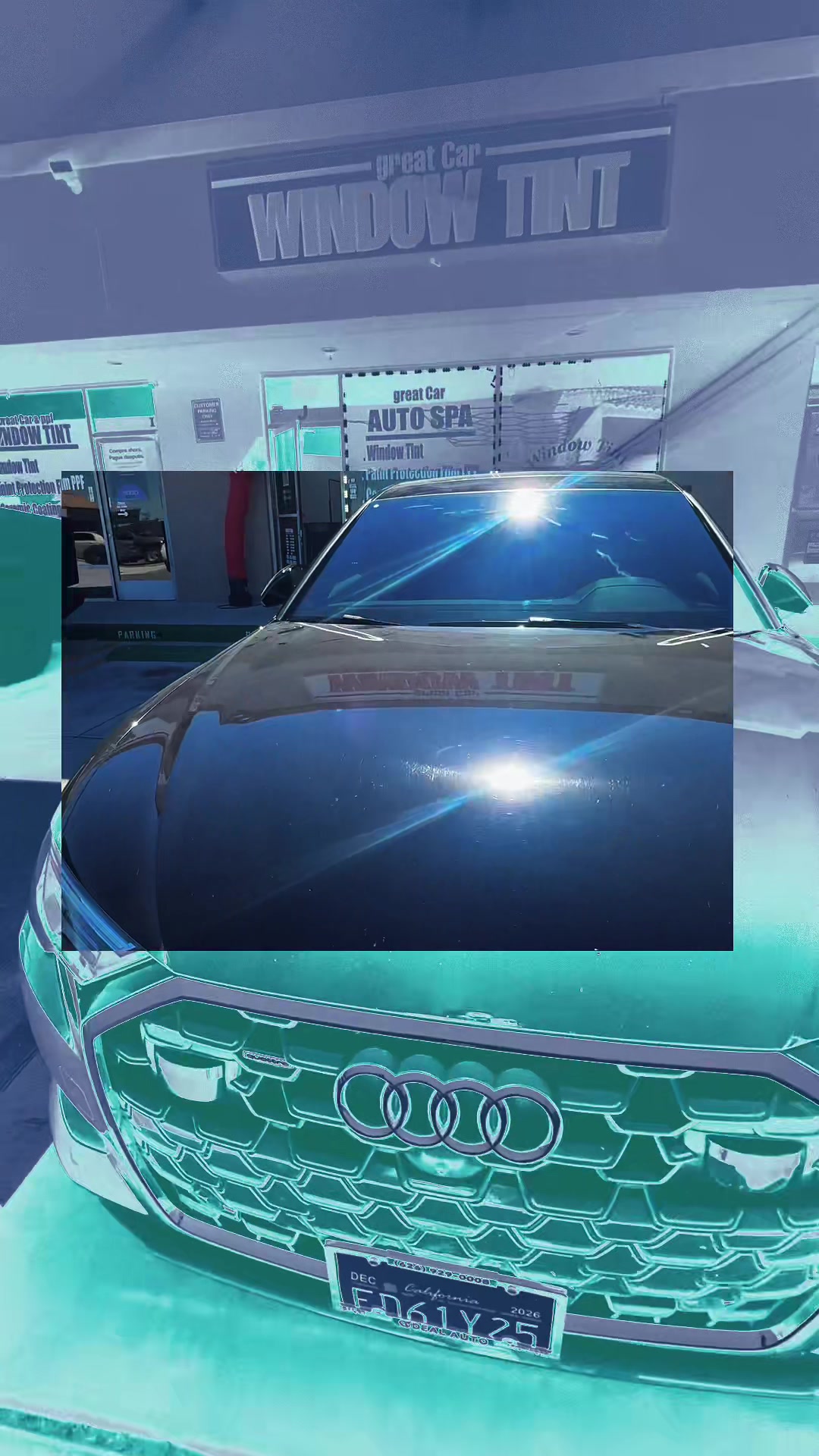 @Window tint hesperia