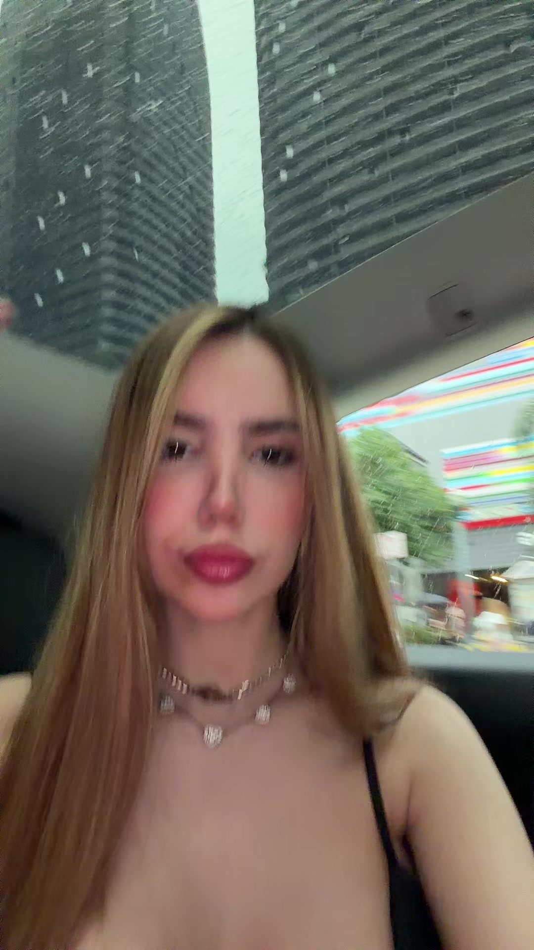 @Sofia Palharin🐺