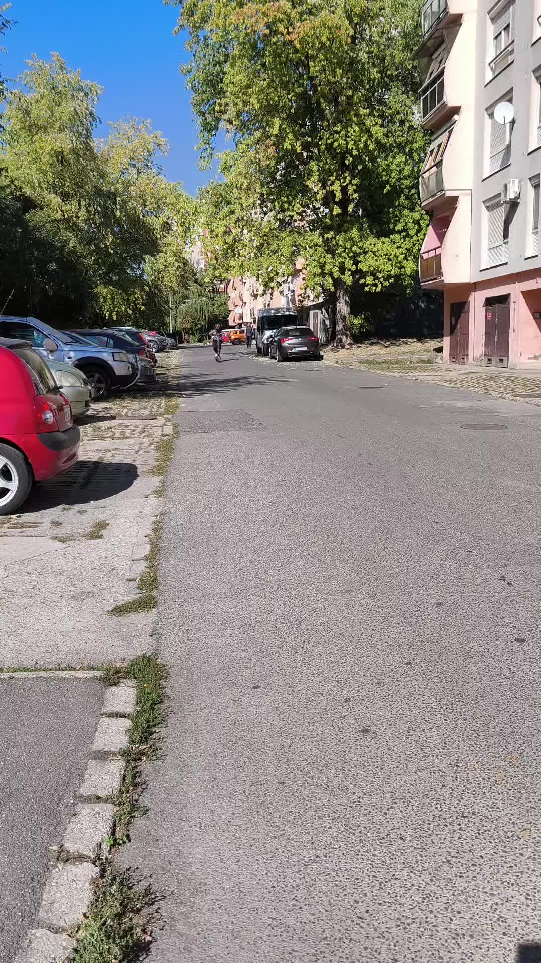 @🇭🇺D&Lambda;RKVX11🇭🇺