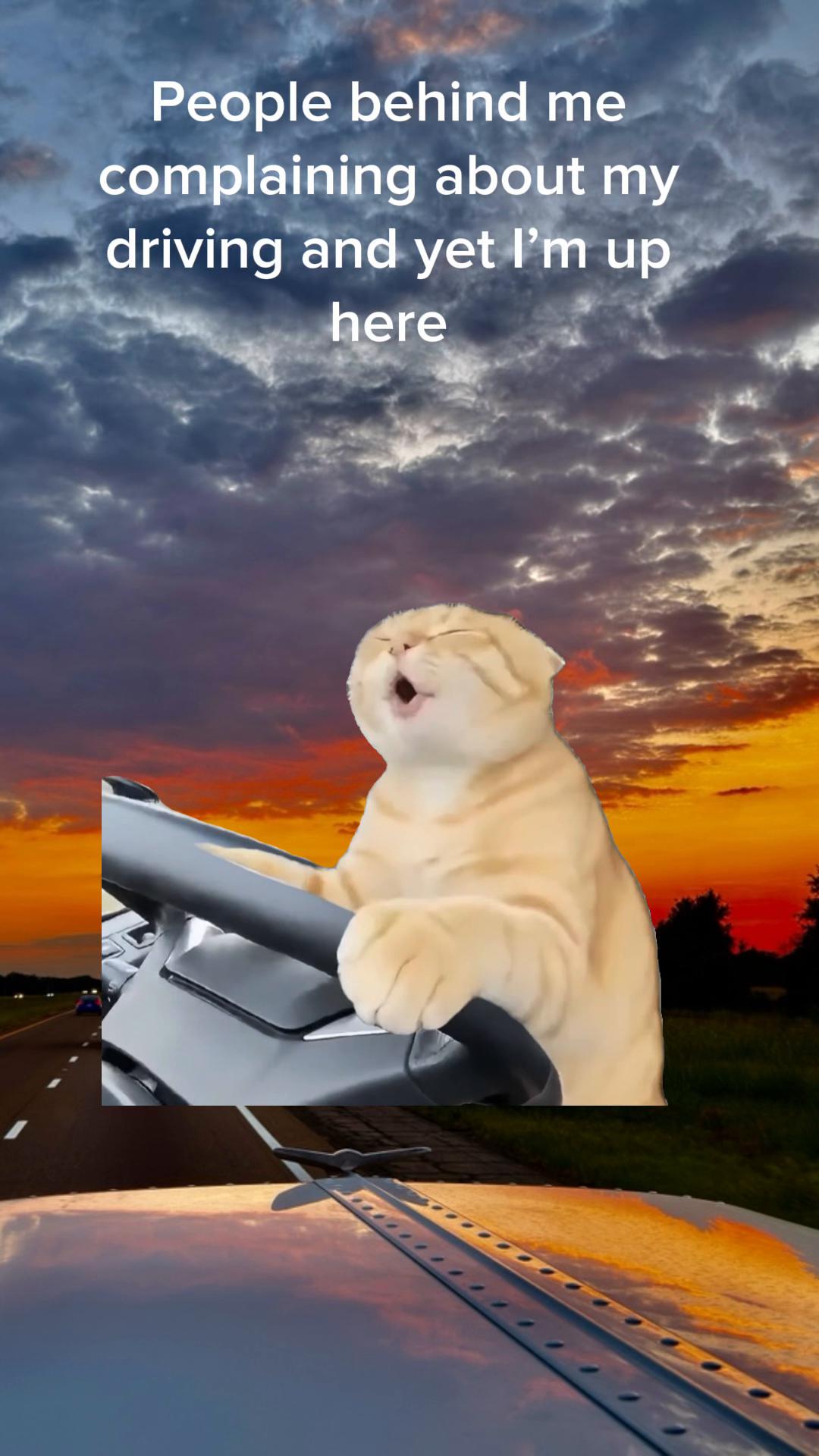 @jaysohegxmf