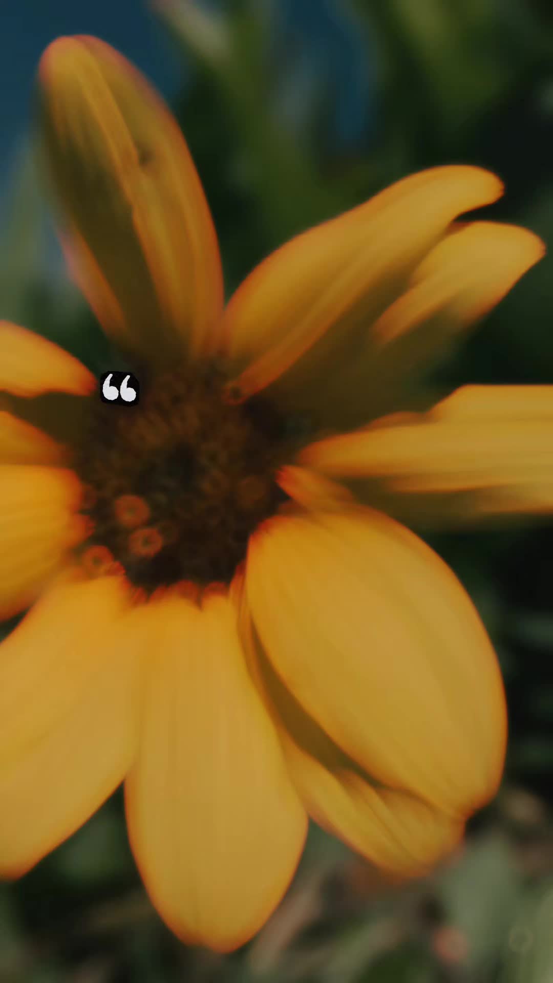 @Maribel 🌻
