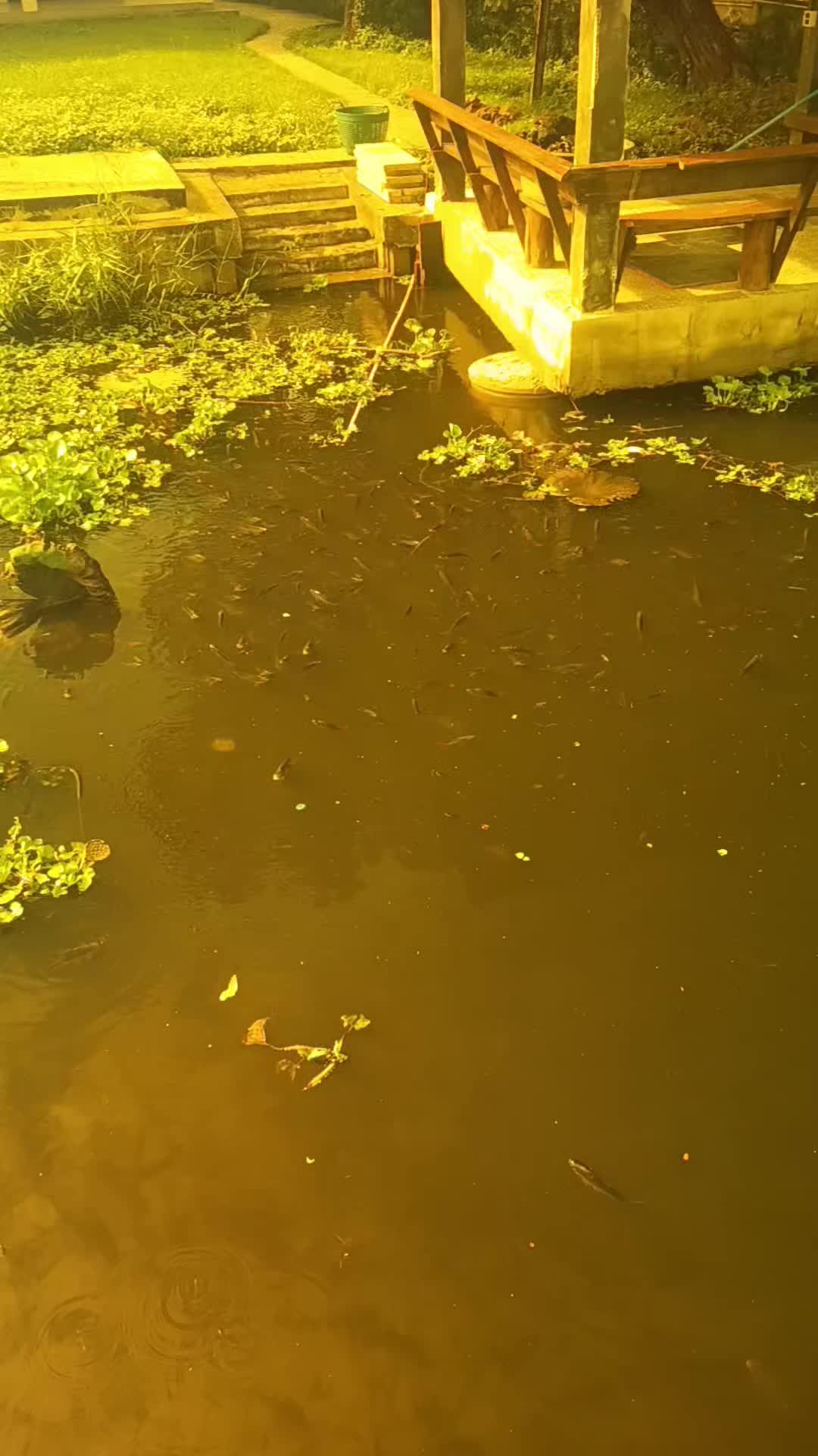 @น้าเอก อวสานโลกสวย