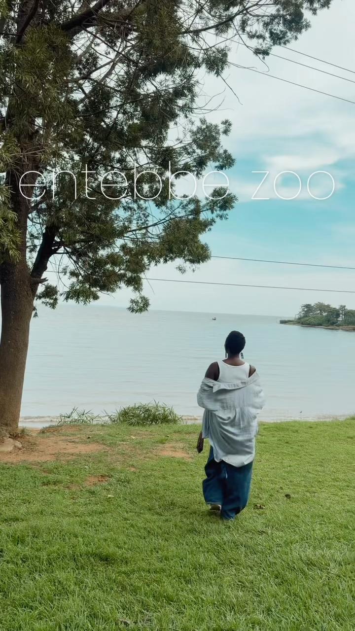 @ANZOA