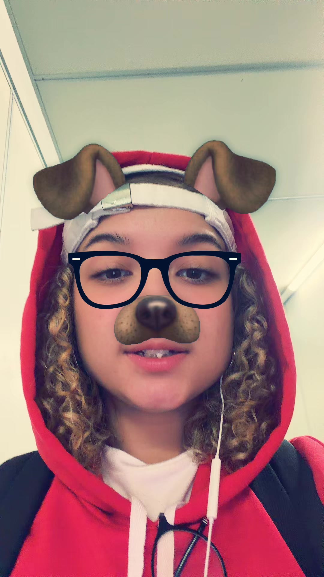 @aminequerida_