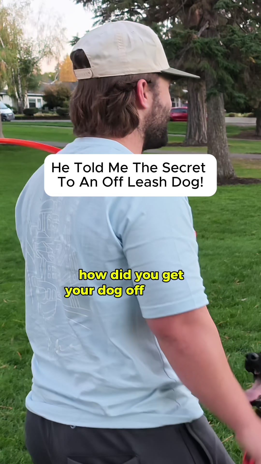 @forthedogs