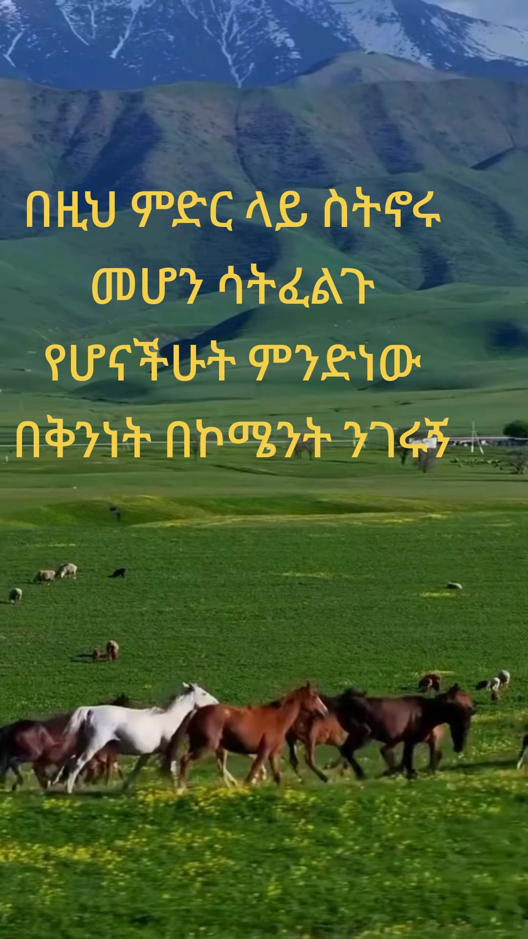 @kemu የእናቱ ናፋቂuser8762669035243