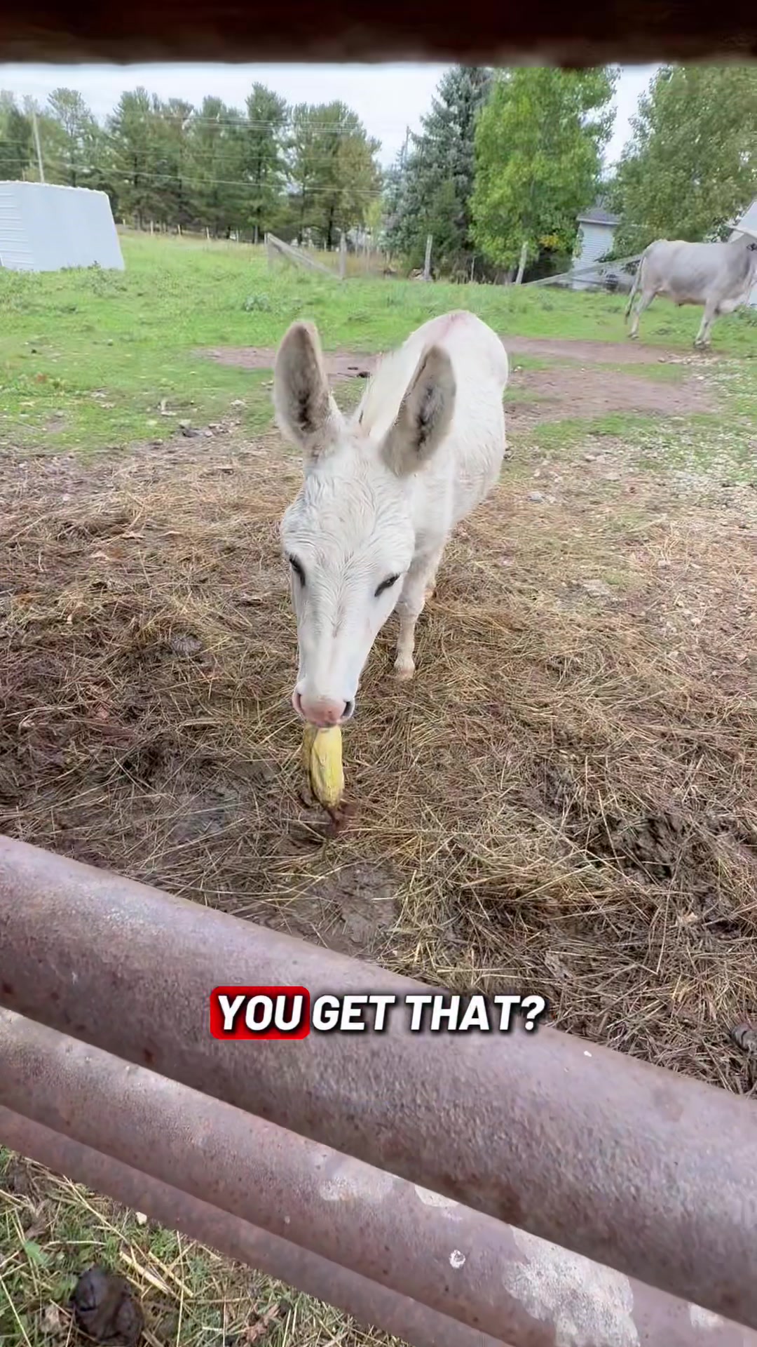 @Scott Kaczmar