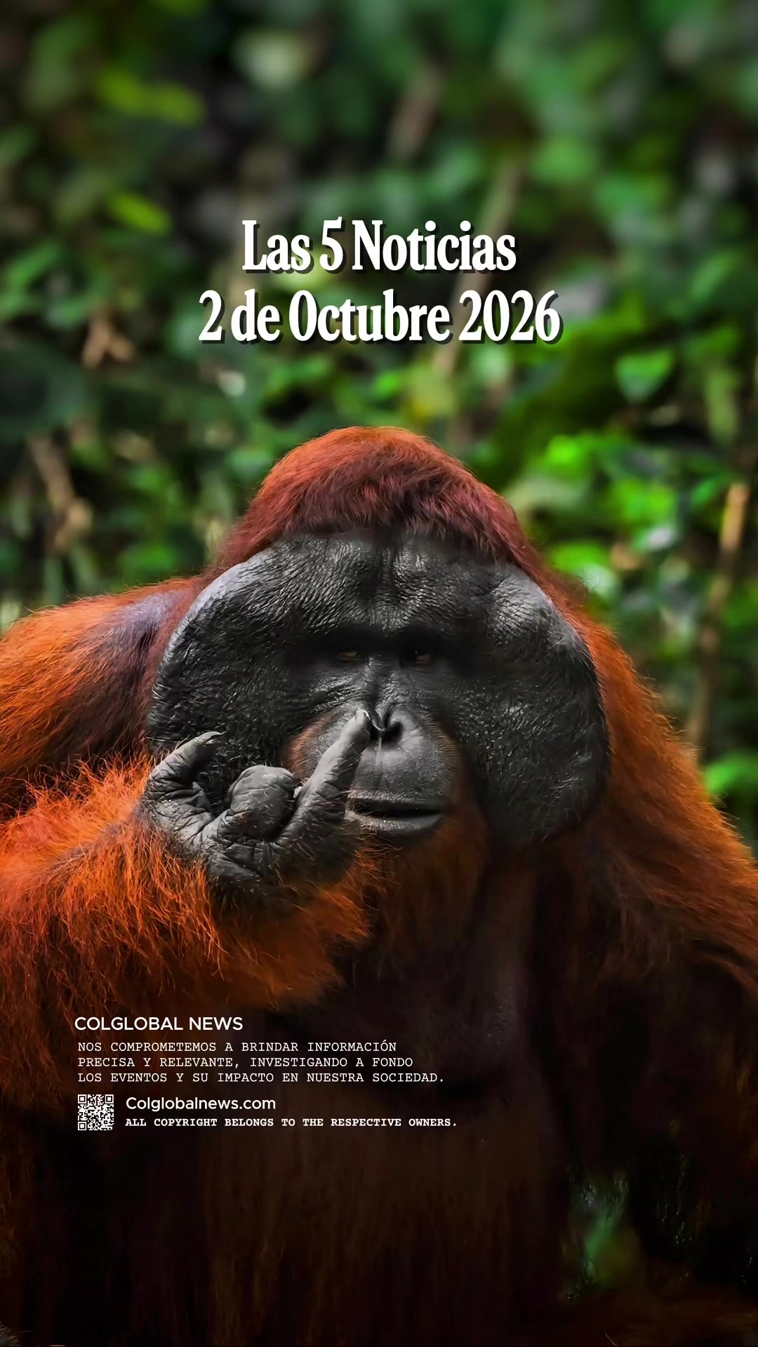 @Colglobal Noticias
