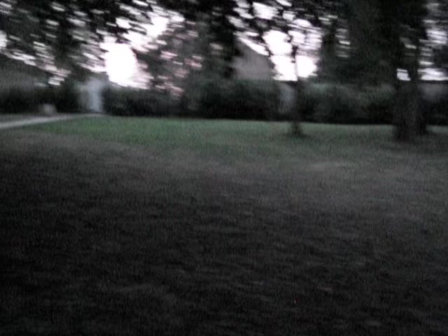 @ֶָ֢