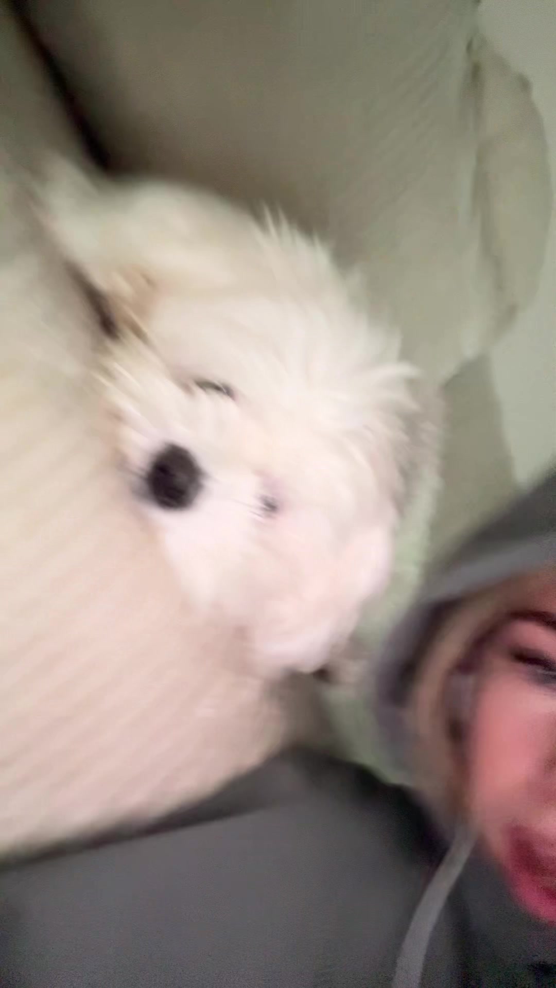 @annaa