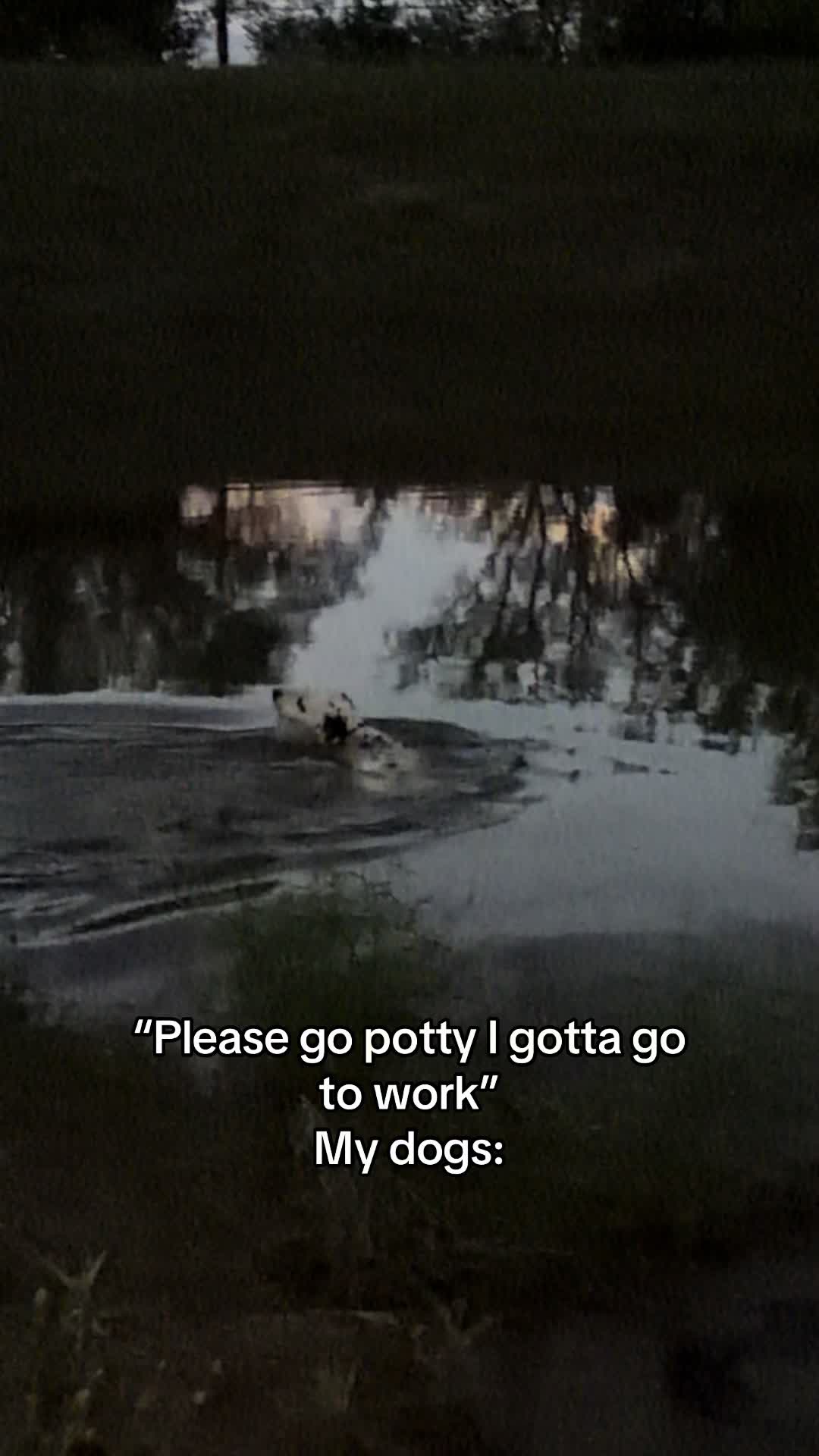 @Ash G