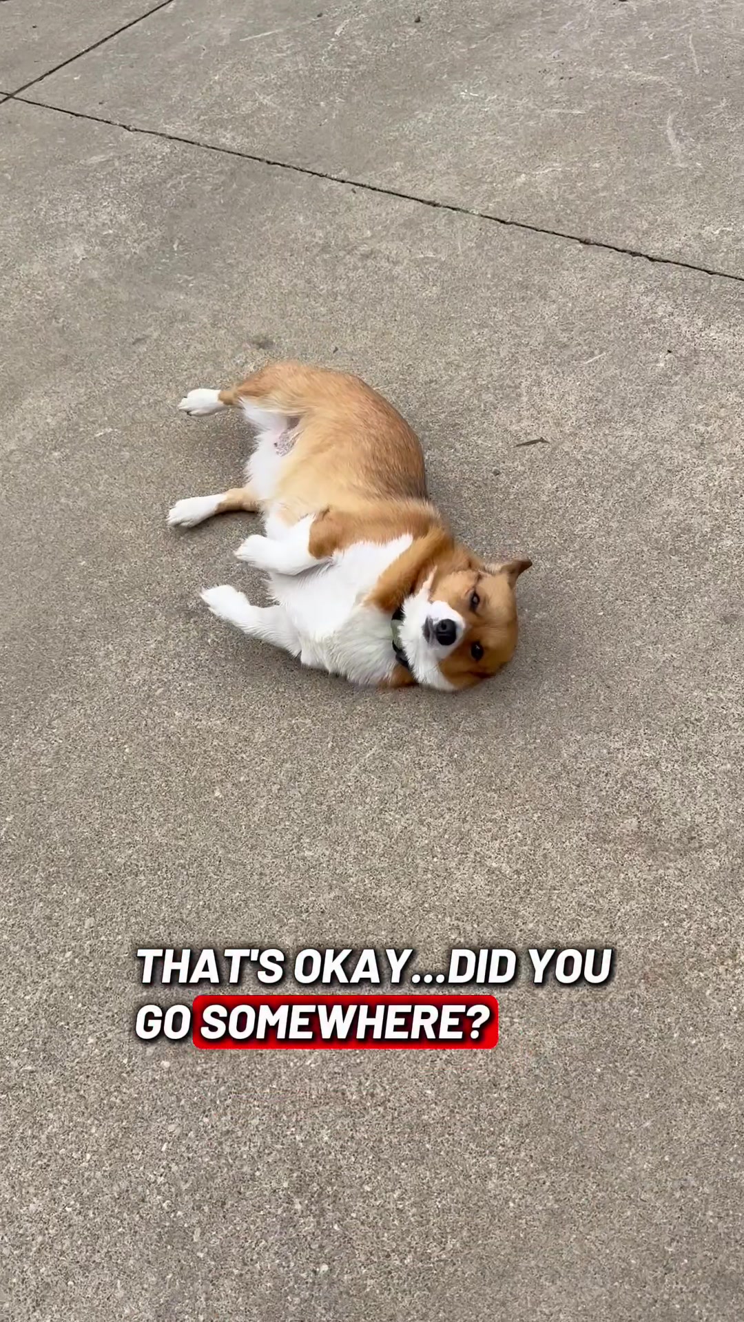 @Scott Kaczmar
