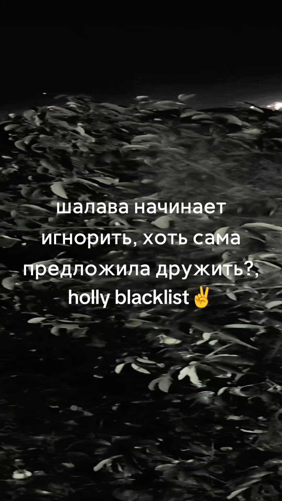 @ГНИДА_XIX_ВЕКА🧛