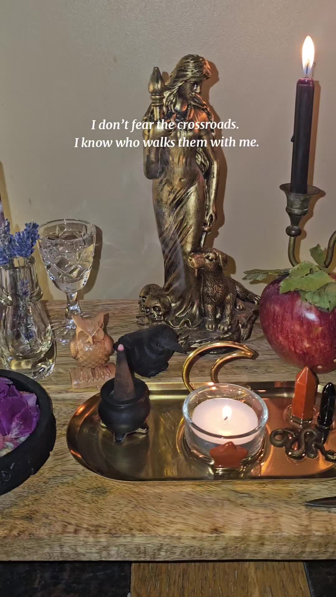 @modernwitchery444