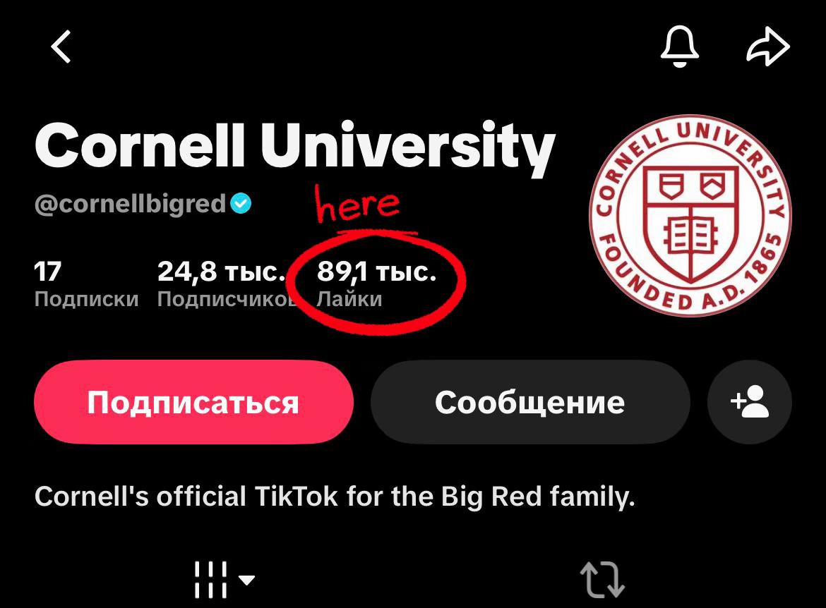 @🪭𝐍𝐮𝐫𝐞𝐥 𝐒𝐮𝐥𝐭𝐚𝐧👑