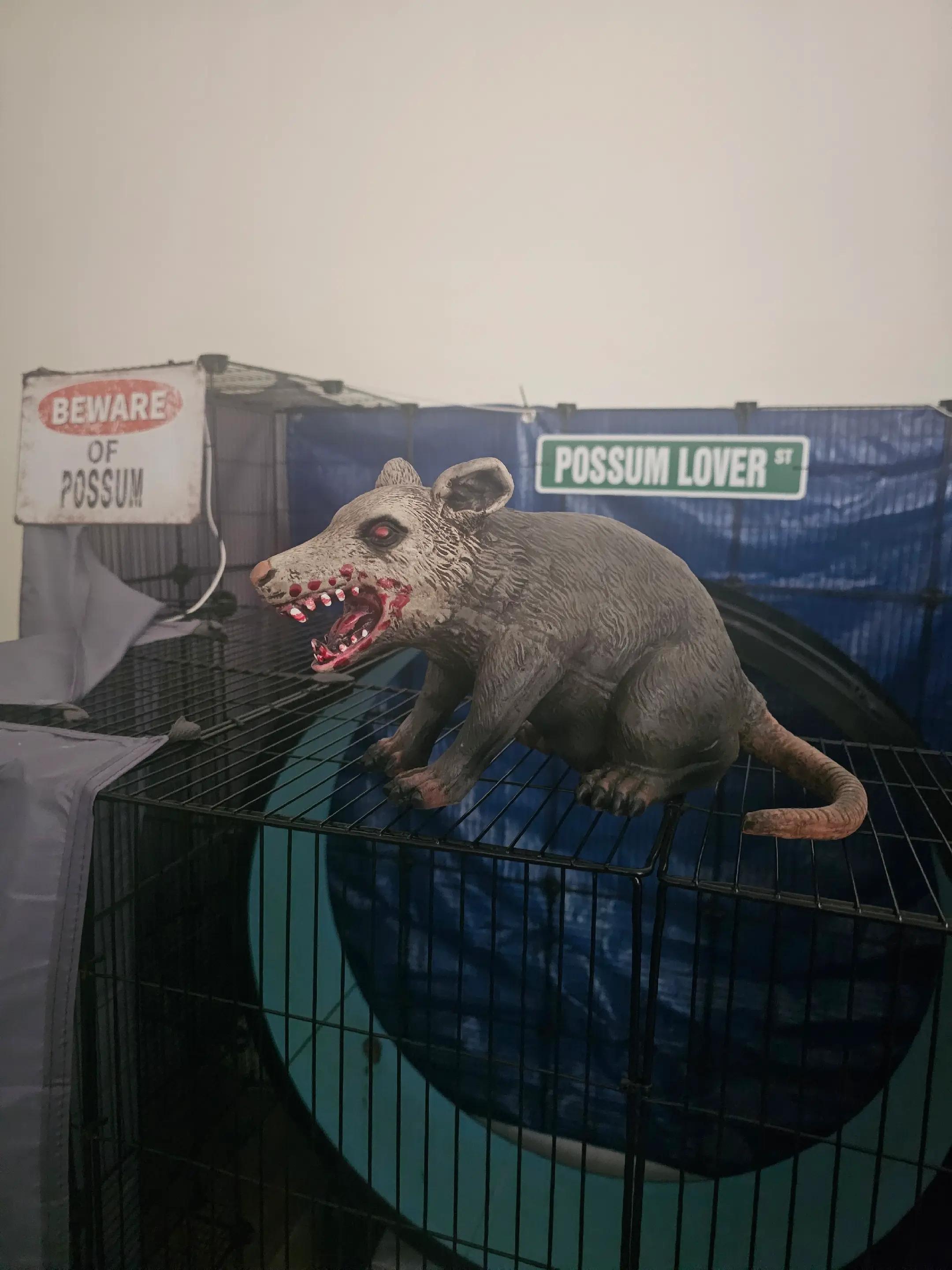 @OPOSSUM/DOG MOMMA Dea