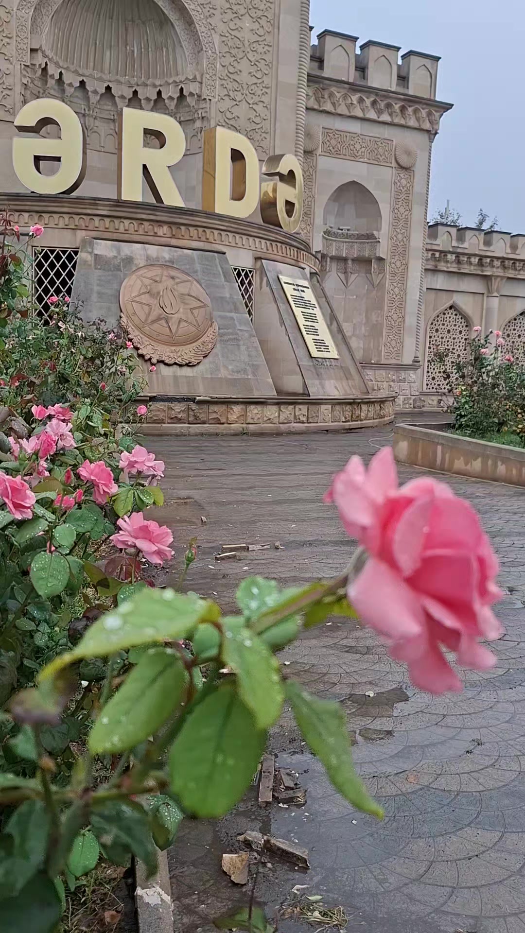@꧁༺AMİL 041༻꧂🖤🦅𝟎𝟒𝟏