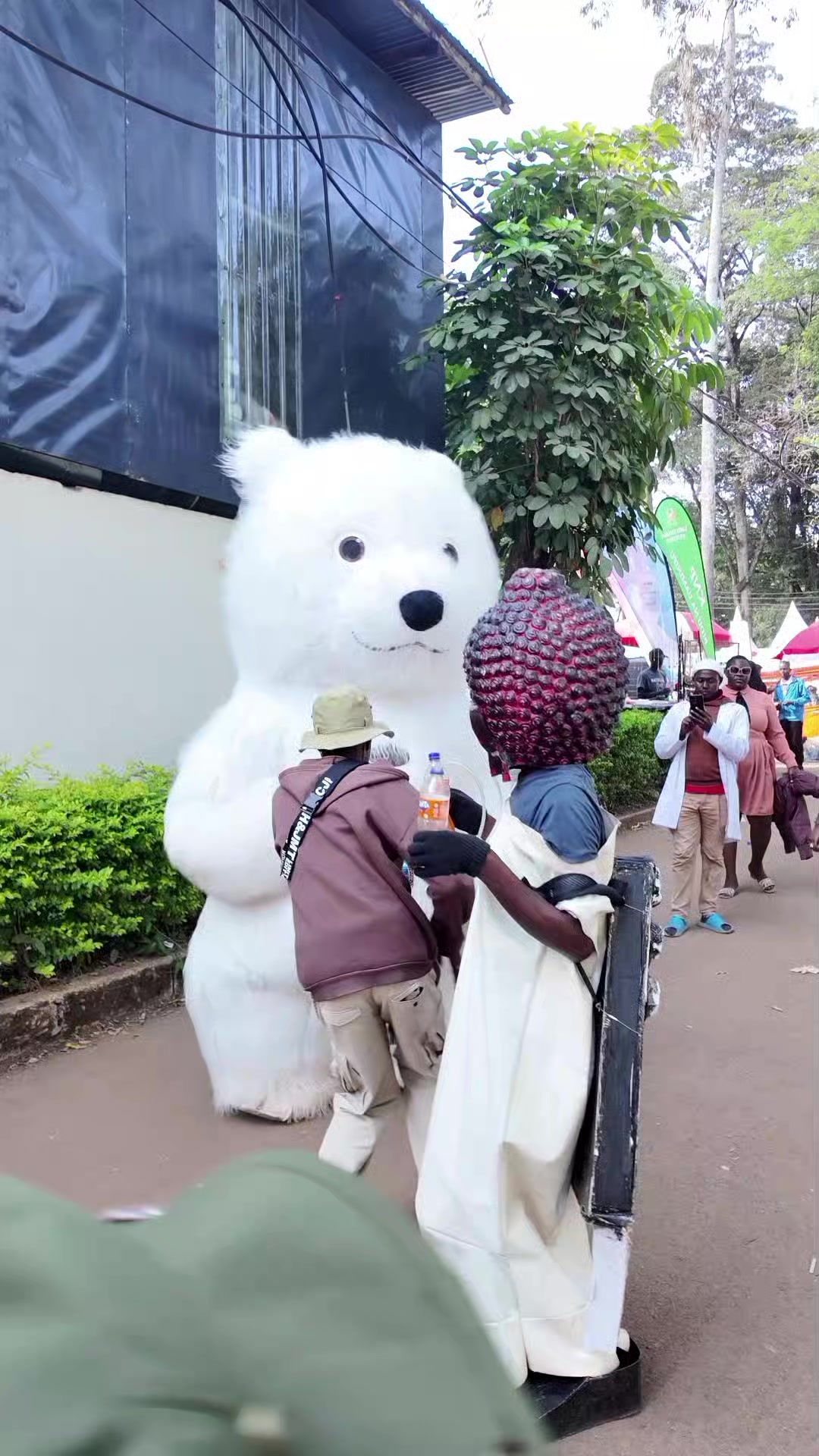 @The Mascot kenya