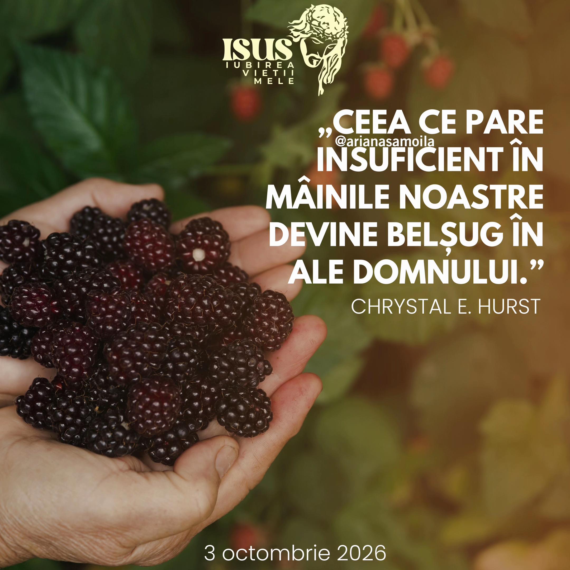 @Ariana Samoilă