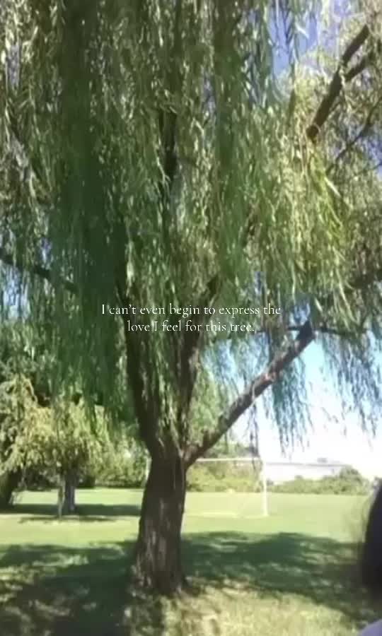 @Maite Estrada