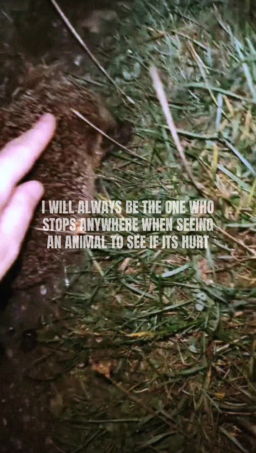 @𝒶 𝓃 𝑔 𝒾🫧